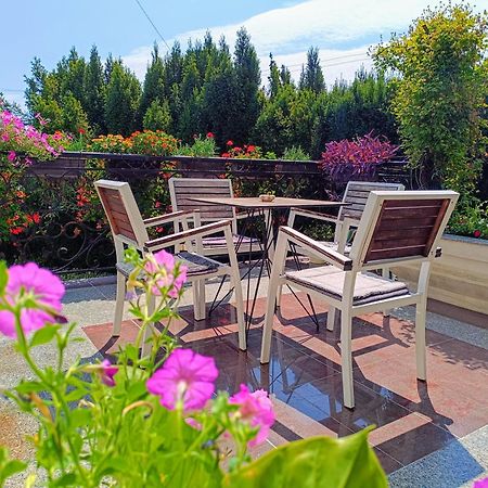 Vila Sentic Vranje Extérieur photo