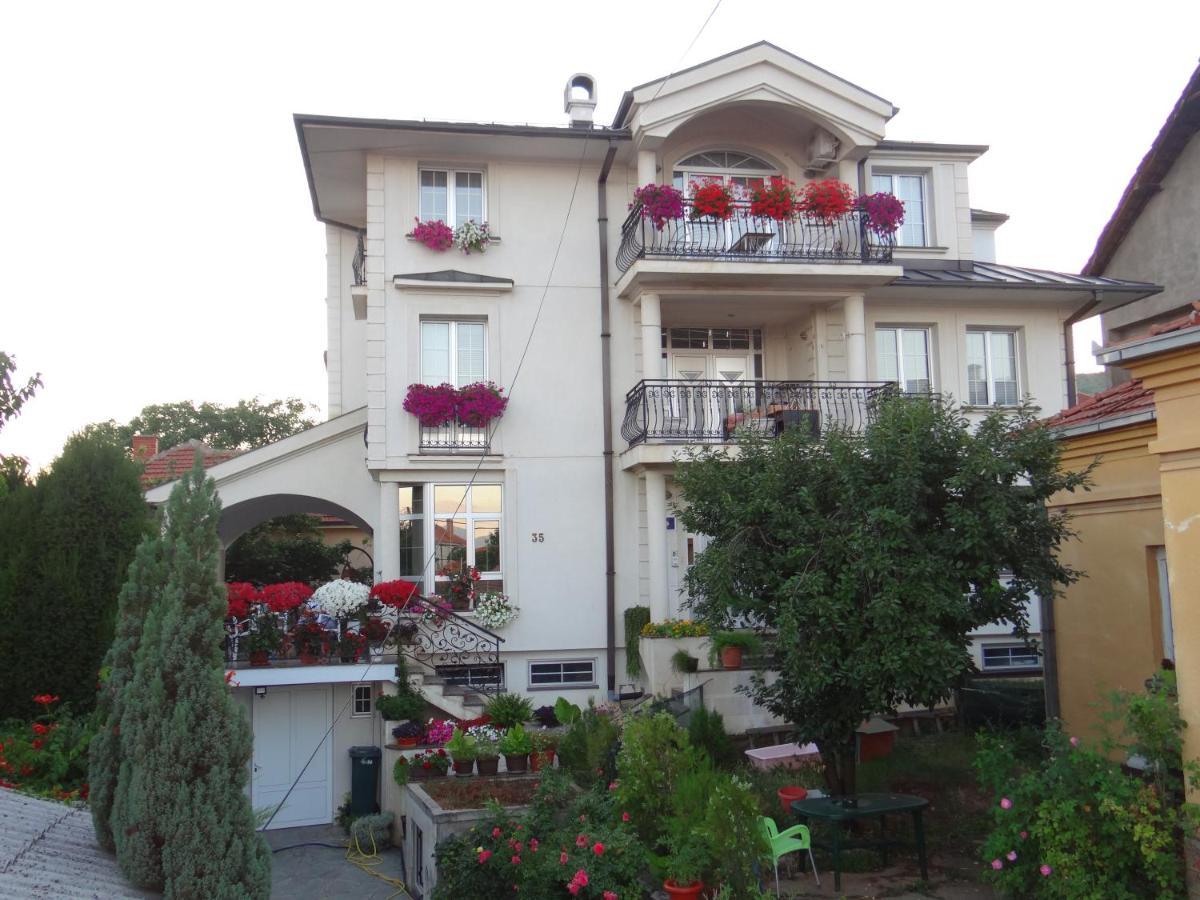 Vila Sentic Vranje Extérieur photo