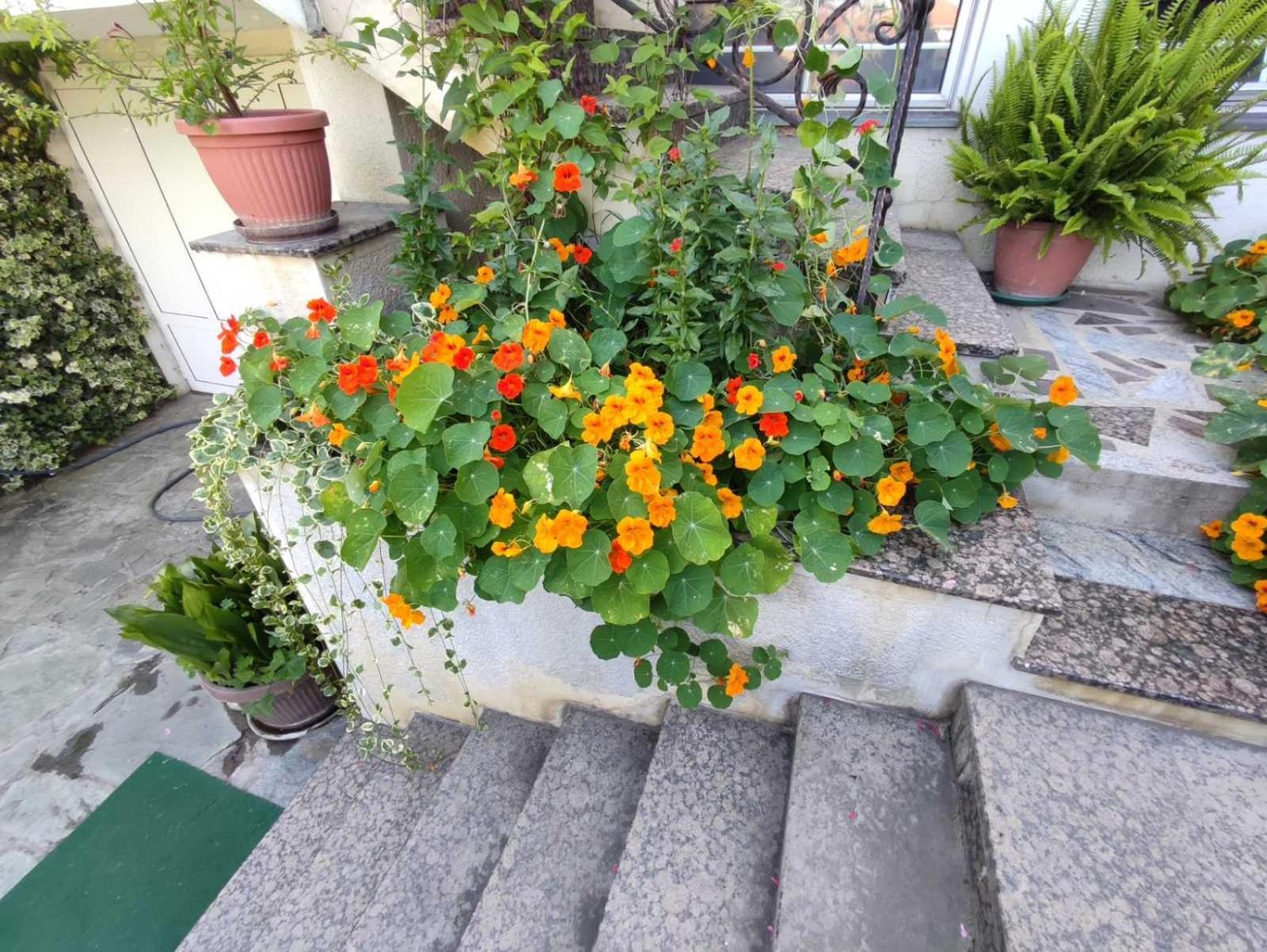 Vila Sentic Vranje Extérieur photo