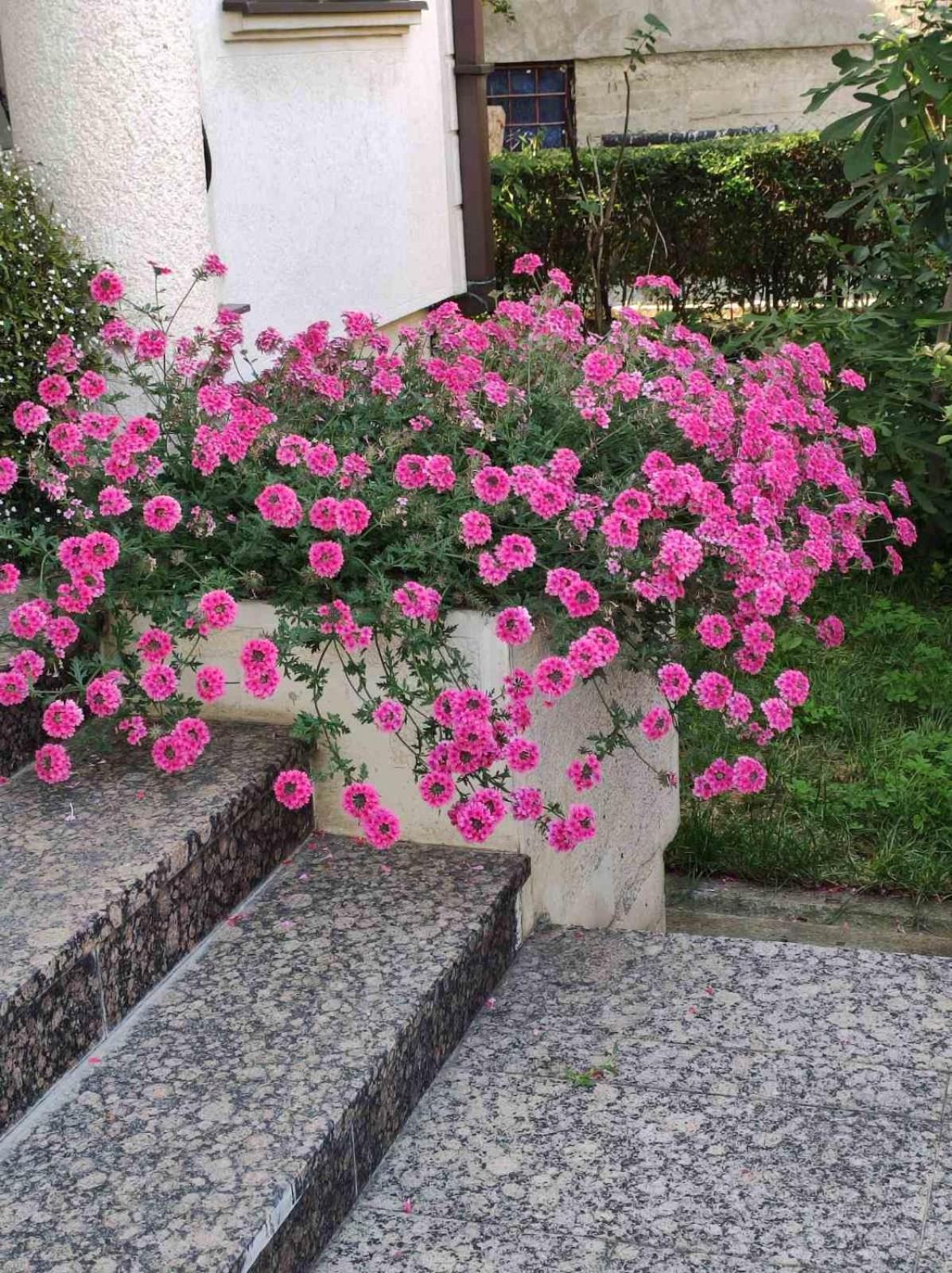 Vila Sentic Vranje Extérieur photo