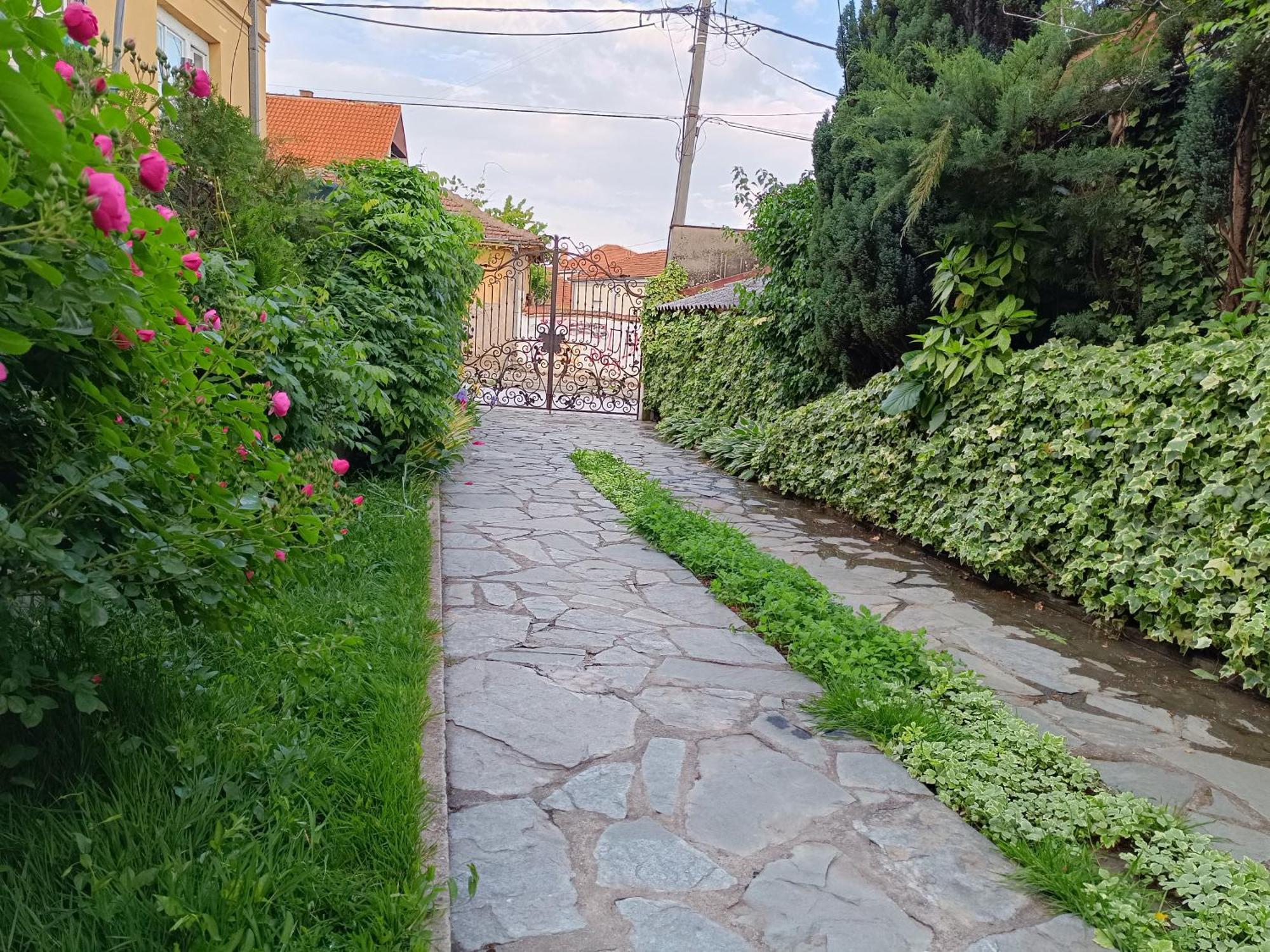 Vila Sentic Vranje Extérieur photo
