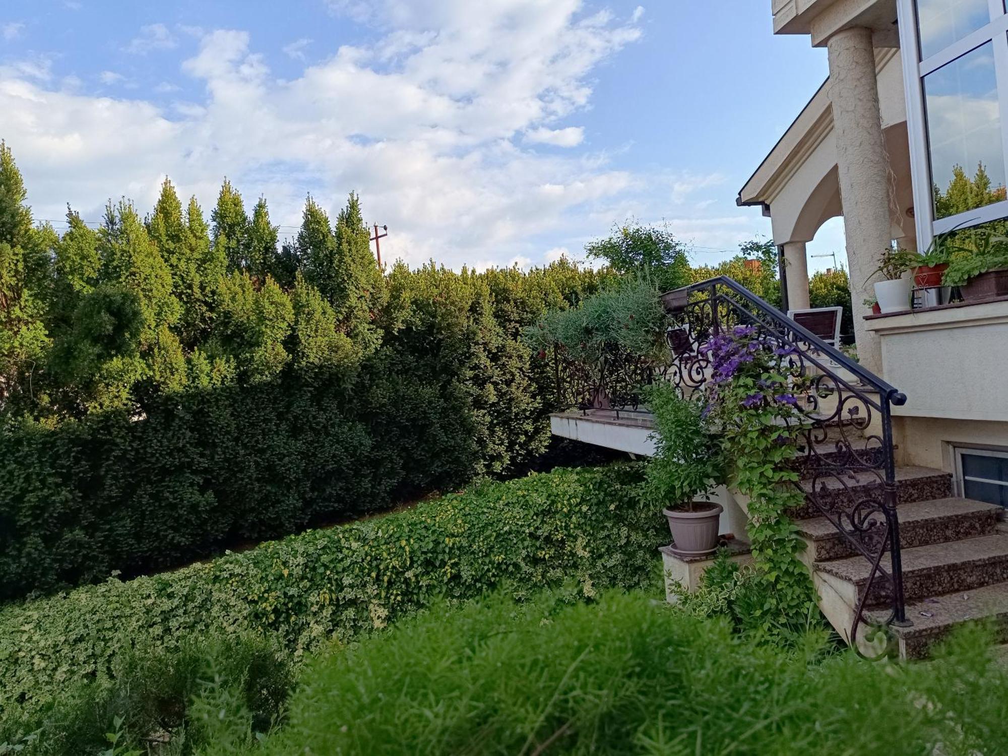 Vila Sentic Vranje Extérieur photo