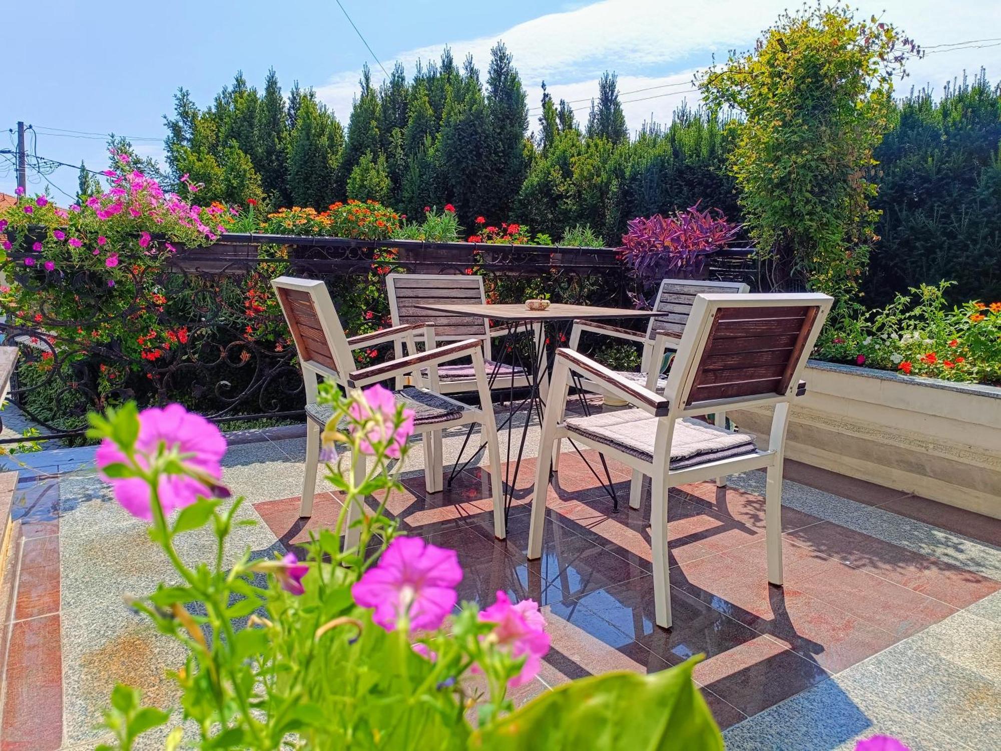 Vila Sentic Vranje Extérieur photo