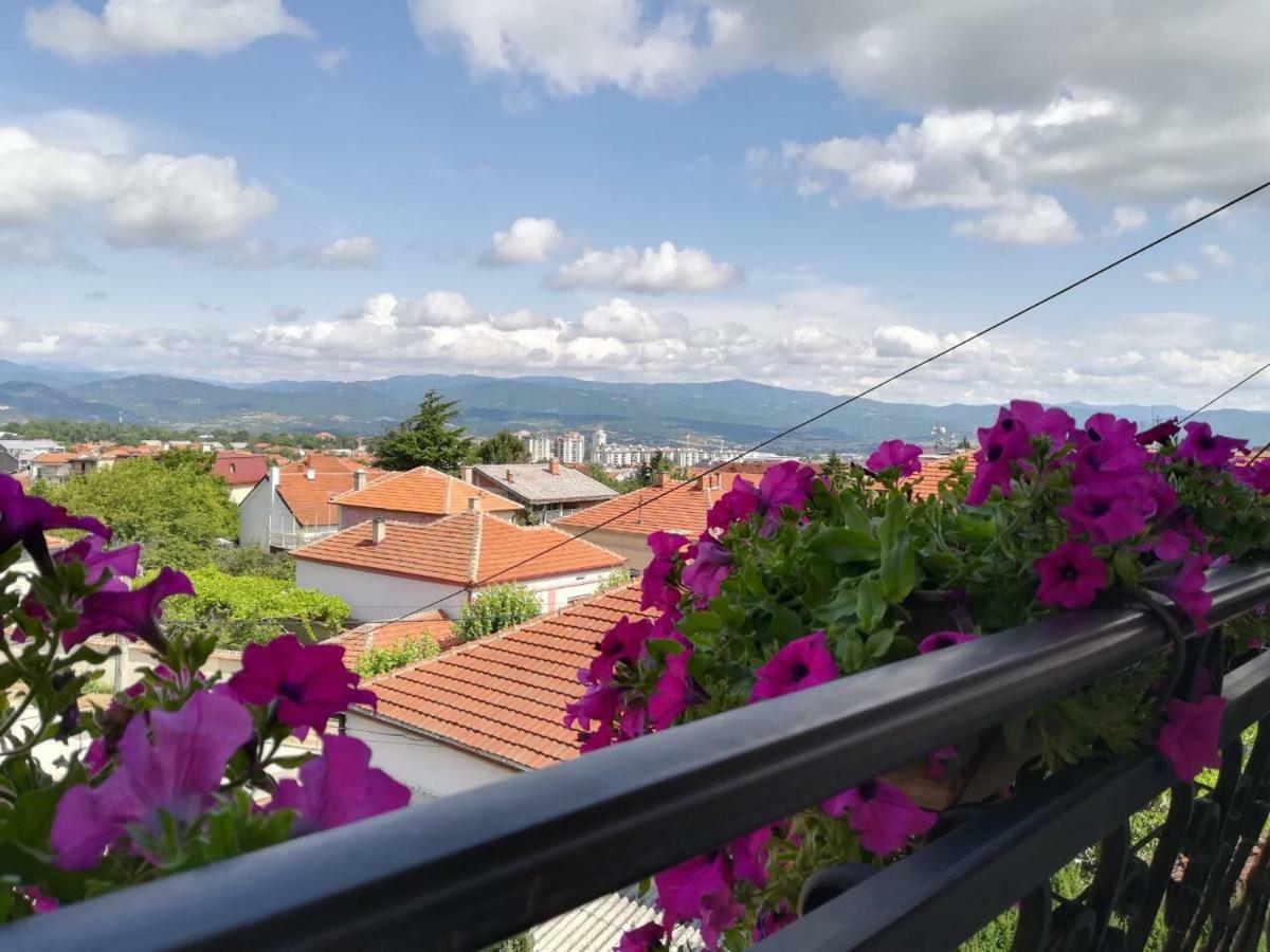 Vila Sentic Vranje Extérieur photo
