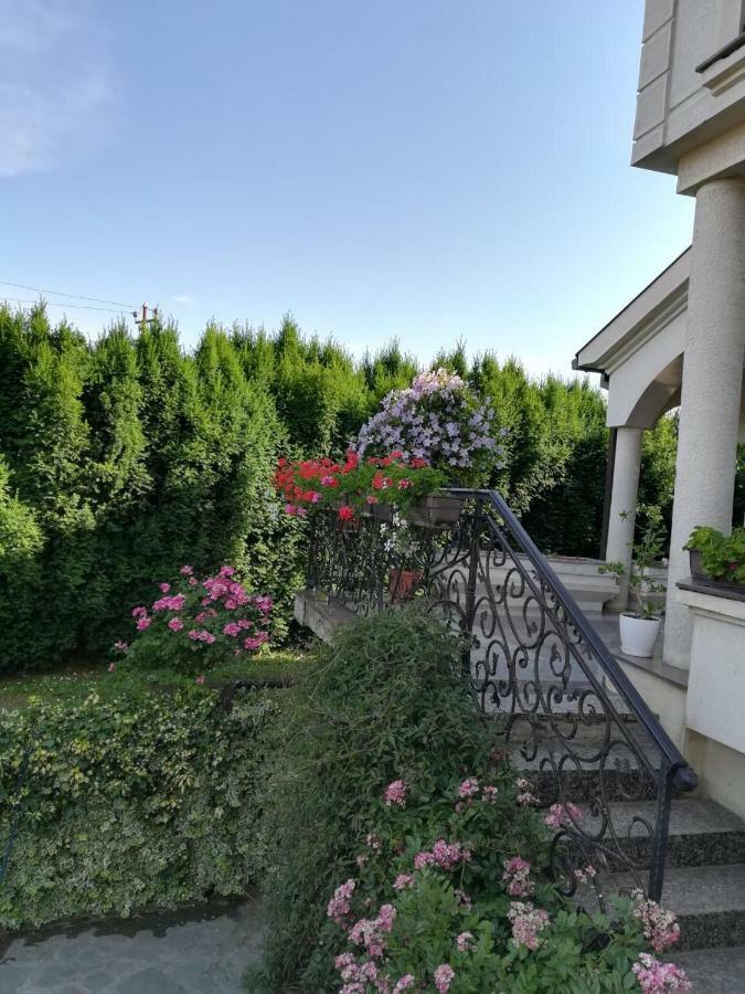 Vila Sentic Vranje Extérieur photo