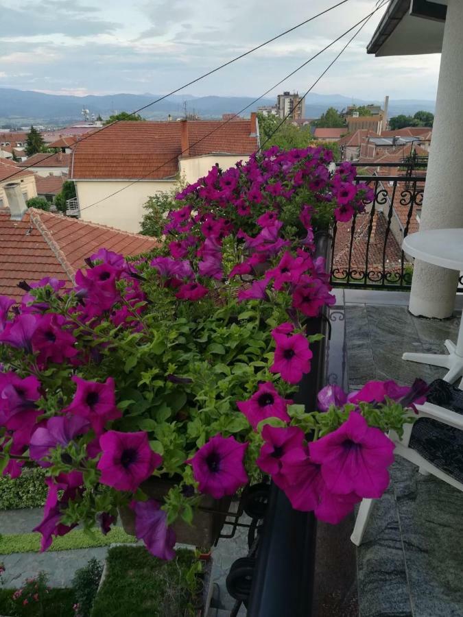 Vila Sentic Vranje Extérieur photo