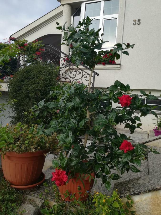 Vila Sentic Vranje Extérieur photo