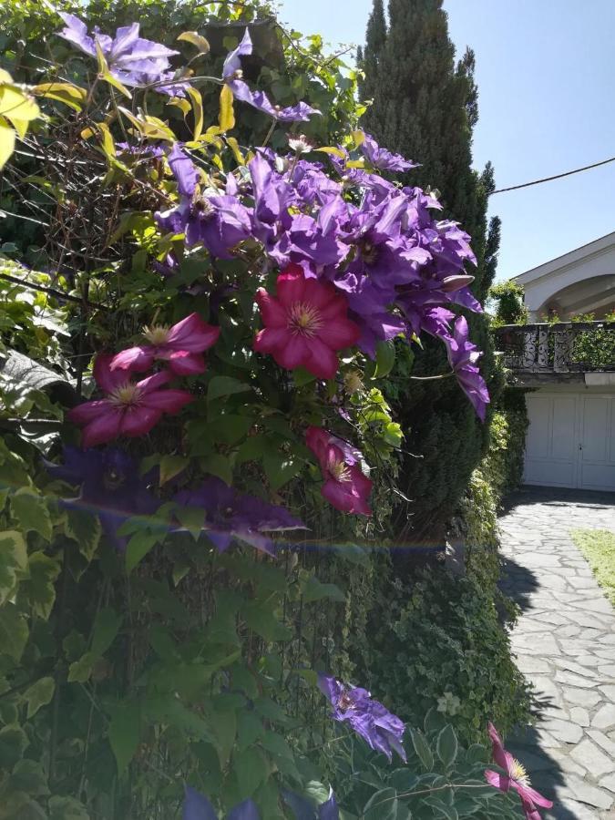 Vila Sentic Vranje Extérieur photo